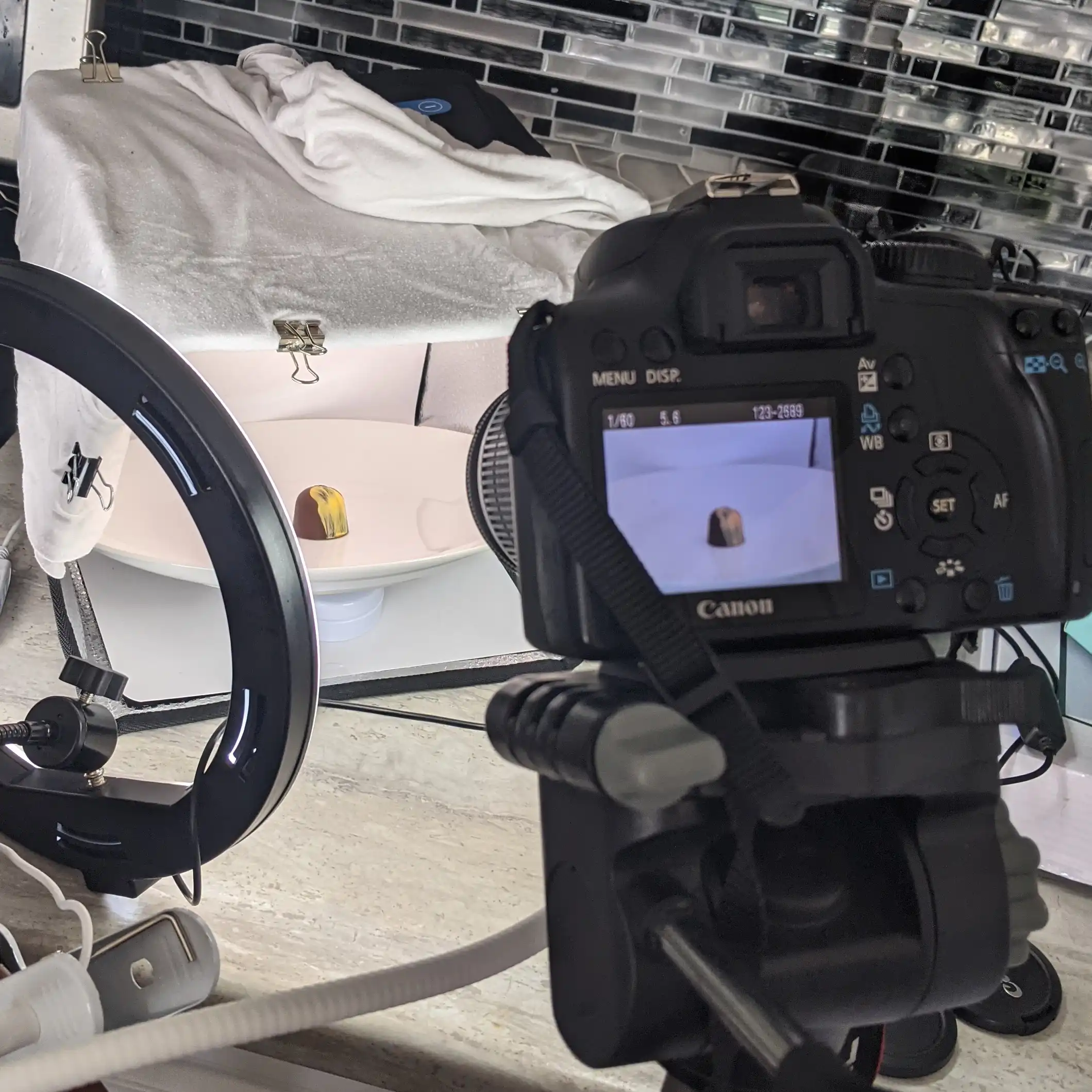 Professional photography setup