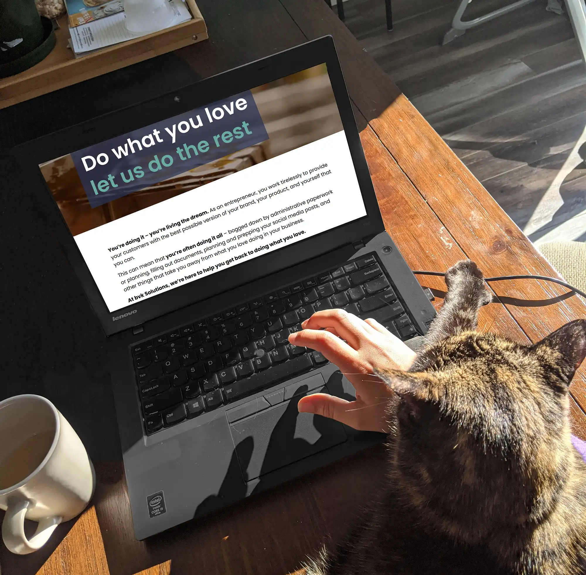 person using laptop with cat on their lap